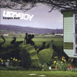 Lazy Boy&nbsp;-&nbsp;Penguin rock