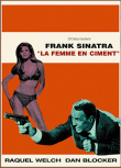 La Femme en ciment&nbsp;-&nbsp;Gordon Douglas