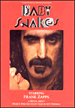 Baby snakes