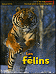 Les félins&nbsp;-&nbsp;Stéphane Frattini, Benoît Charles, Amandine Labarre