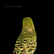 Andrew Bird&nbsp;-&nbsp;Armchair apocrypha