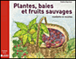 Plantes, baies et fruits sauvages&nbsp;-&nbsp;Nadine Sanchez
