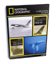 Panique chez les baleines - Le Festin des orques - Edition Digipack&nbsp;-&nbsp;Documentaire sur la faune