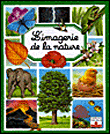 L'Imagerie de la nature&nbsp;-&nbsp;Emilie Beaumont, Pimont