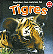 Tigres&nbsp;-&nbsp;Collectif