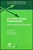 Les droits sociaux fondamenteaux&nbsp;-&nbsp;Laurence Gay, Emmanuelle Mazuyer