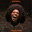 Funkadelic&nbsp;-&nbsp;Maggot brain