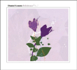 Daniel Lanois&nbsp;-&nbsp;Belladonna