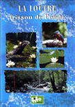 La Loutre - Le Frisson de l'onde