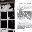 Libéré sur parole&nbsp;-&nbsp;Lucien