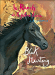 Black mustang
