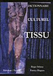Dictionnaire culturel du tissu&nbsp;-&nbsp;Régis Debray, Patrice Hugues