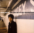 Jesse Malin&nbsp;-&nbsp;Fine art of self destruction