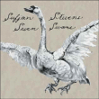 Seven swans
