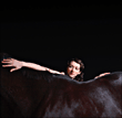 My Brightest Diamond&nbsp;-&nbsp;Bring me the workhorse