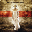White Willow&nbsp;-&nbsp;Signal to noise