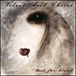 Velvet Acid Christ
