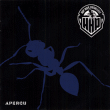 Hip Hop Parrallele&nbsp;-&nbsp;Aperçu