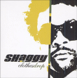 Shaggy