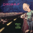 Dinosaur Jr&nbsp;-&nbsp;Where you been