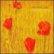 Marmoset&nbsp;-&nbsp;Florist fired