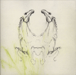 My Brightest Diamond&nbsp;-&nbsp;Tear it down