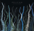Pelican&nbsp;-&nbsp;City of echoes