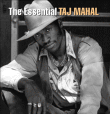 Taj Mahal&nbsp;-&nbsp;The Essential Taj Mahal