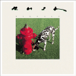 Rush&nbsp;-&nbsp;Signals