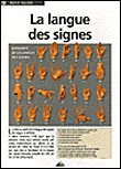  - Lapin nain