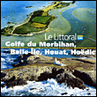 Le Golfe du Morbihan, Belle-Ile, Houat&nbsp;-&nbsp;Guery, Guillemot