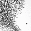 Wilco