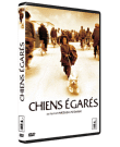 Chiens égarés
