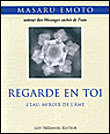 Regarde en toi, l'eau, miroir de l'âme&nbsp;-&nbsp;Masaru Emoto