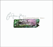 Cocteau Twins&nbsp;-&nbsp;Lullabies to Violaine volume 1