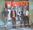 The Saints&nbsp;-&nbsp;Cabaret at the roundhouse