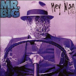 Mr Big&nbsp;-&nbsp;Hey man