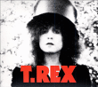 T- Rex&nbsp;-&nbsp;The slider
