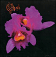 Opeth&nbsp;-&nbsp;Orchid