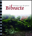 Bibracte, archéologie d'une ville gauloise&nbsp;-&nbsp;Anne-Marie Romero