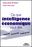 Ce que intelligence économique veut dire&nbsp;-&nbsp;Damien Bruté de Rémur