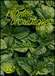 La culture des plantes aromatiques