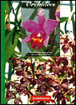 101 astuces orchid�es