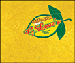 G. Love and Special Sauce&nbsp;-&nbsp;Lemonade - Digipack