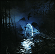 Forest Silence&nbsp;-&nbsp;Philisophy of winter