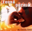 Antilles&nbsp;-&nbsp;Zouké décalé