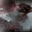 Dragons&nbsp;-&nbsp;Here are the roses