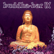 Compilation musique électronique&nbsp;-&nbsp;Buddha Bar IX