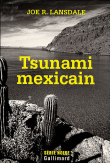 Tsunami mexicain