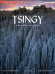 Tsingy, forêt de pierre, Madagascar&nbsp;-&nbsp;Olivier Grunewald, David Wolozan